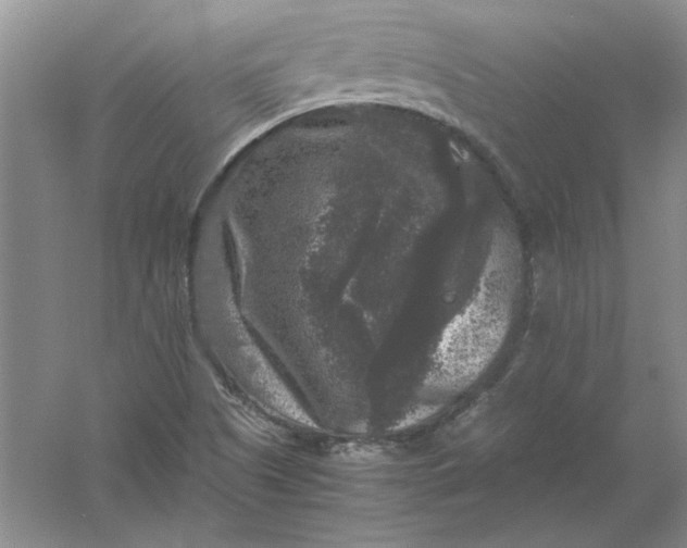 X0000061141505200512022233