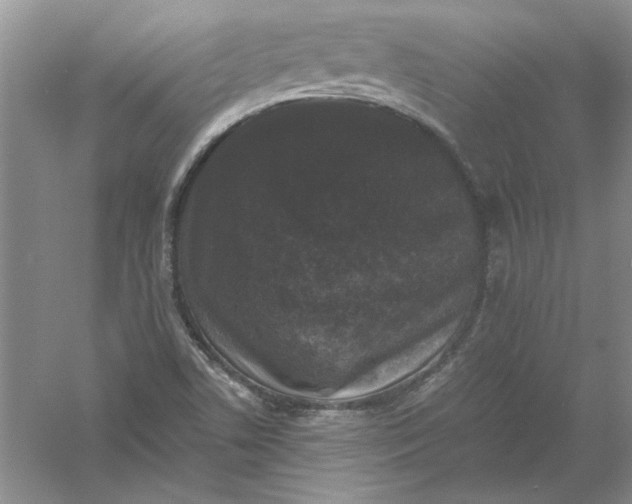 X0000061141506200512022233