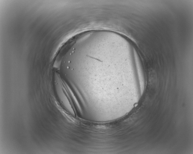 X0000061141507200512022233