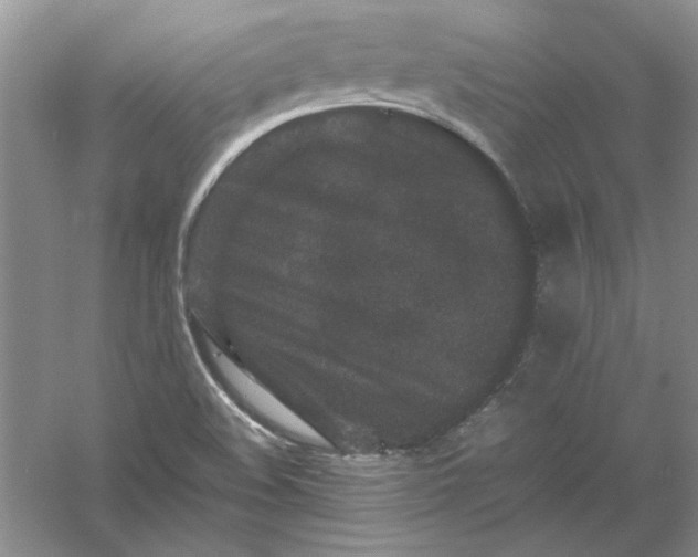 X0000061141508200512022233