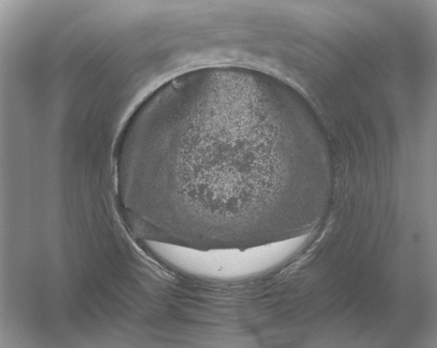 X0000061141509200512022233