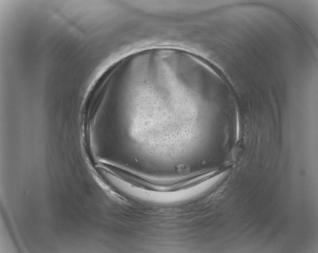 X0000061141511200512022233