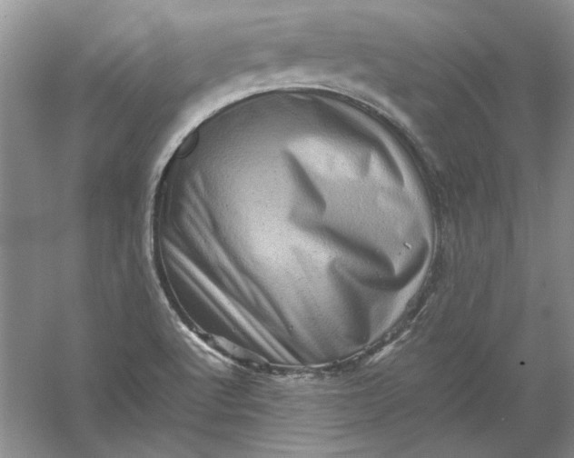 X0000061141512200512022233