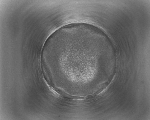 X0000061141513200512022233