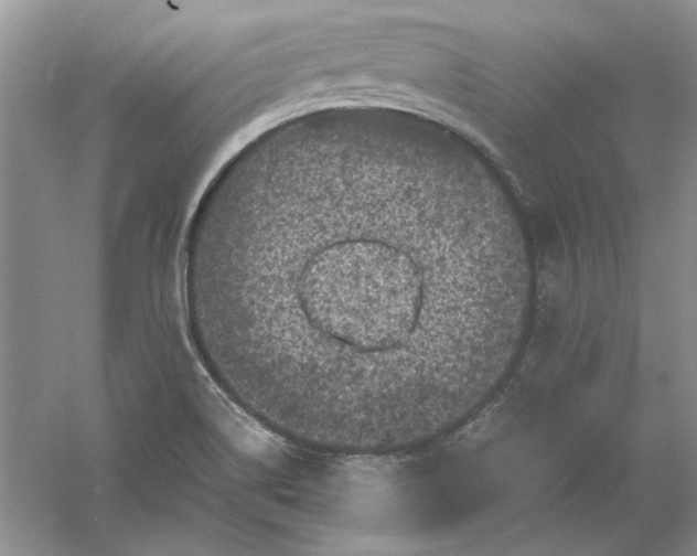 X0000061141514200512022233