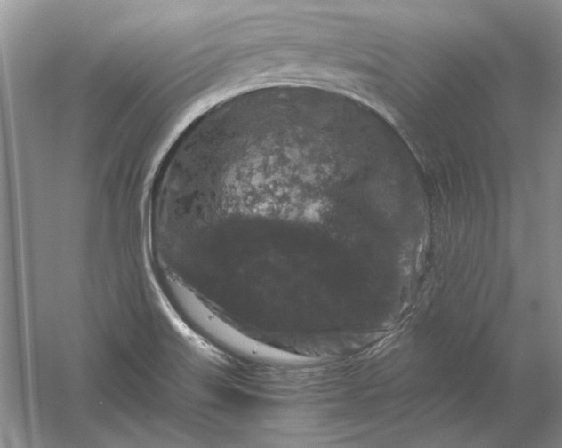 X0000061141515200512022233