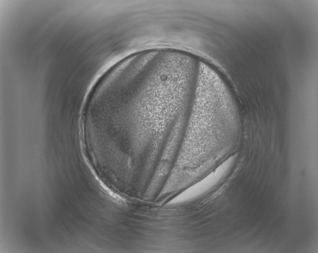 X0000061141517200512022233