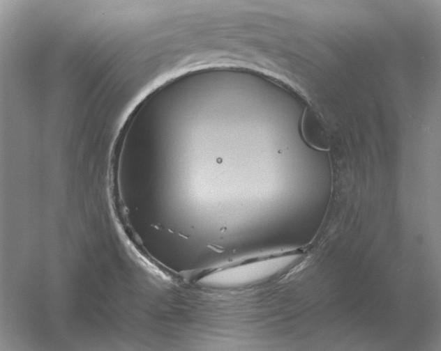 X0000061141518200512022233