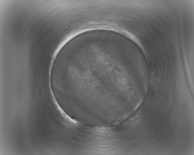 X0000061141520200512022233