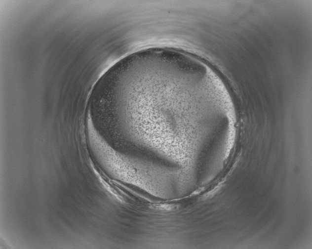 X0000061141521200512022233