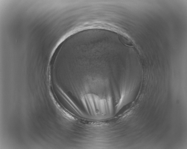 X0000061141522200512022233