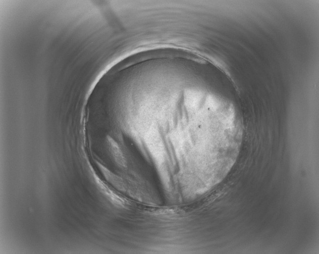 X0000061141524200512022233