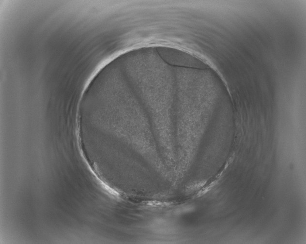 X0000061141525200512022233