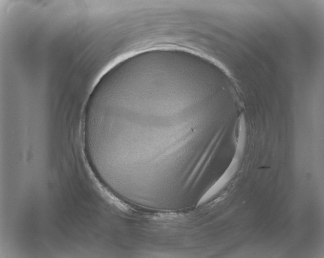 X0000061141526200512022233