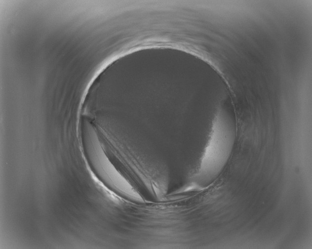 X0000061141527200512022233