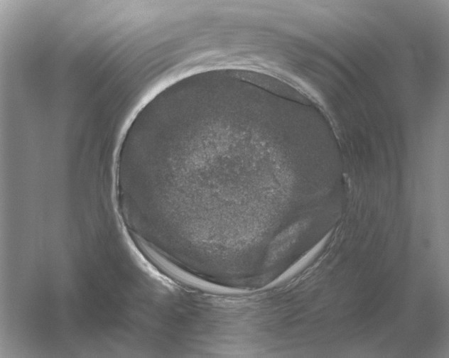 X0000061141528200512022233