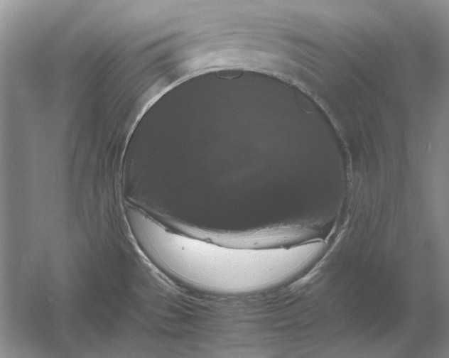 X0000061141529200512022233