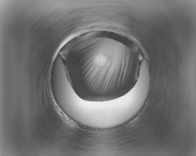 X0000061141530200512022233