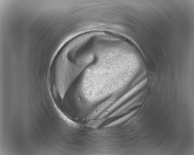 X0000061141531200512022233