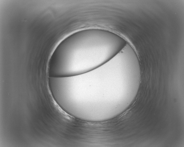 X0000061141532200512022233