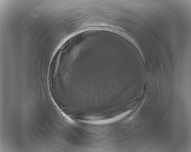 X0000061141533200512022233