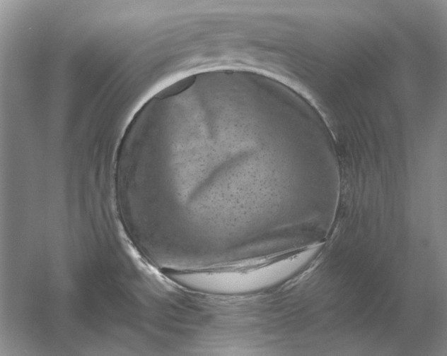 X0000061141534200512022234