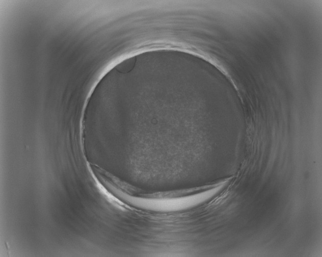 X0000061141535200512022234