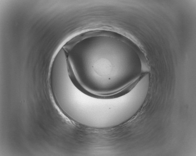 X0000061141536200512022234