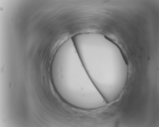 X0000061140001200512091945