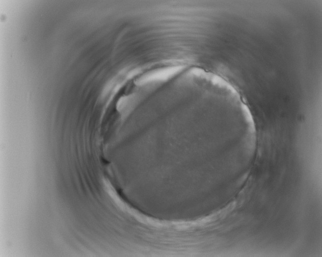 X0000061140002200512091945