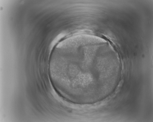 X0000061140003200512091945