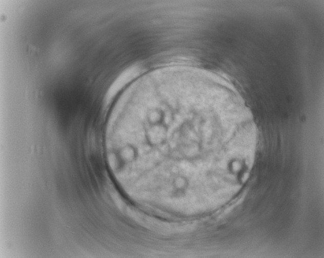 X0000061140004200512091945