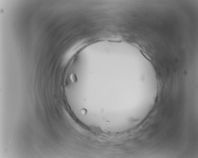 X0000061140005200512091945