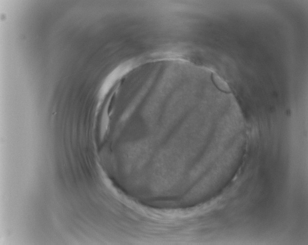 X0000061140006200512091945