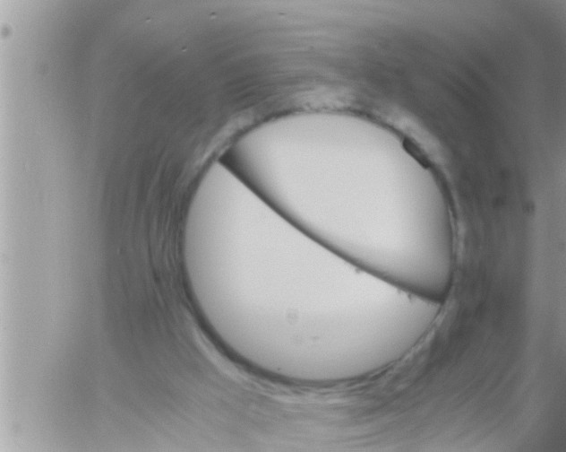 X0000061140009200512091945