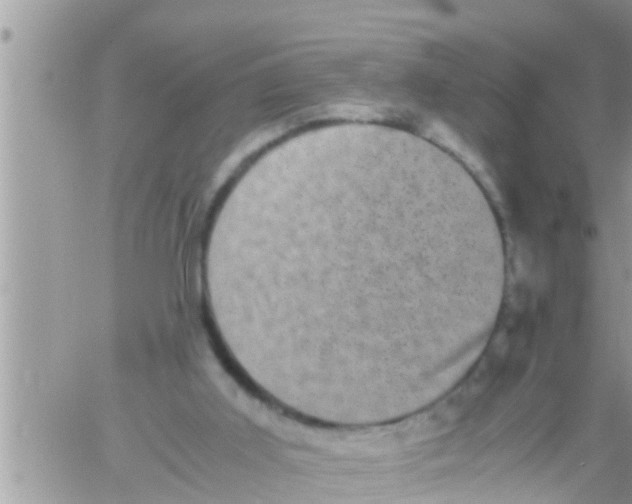 X0000061140011200512091945