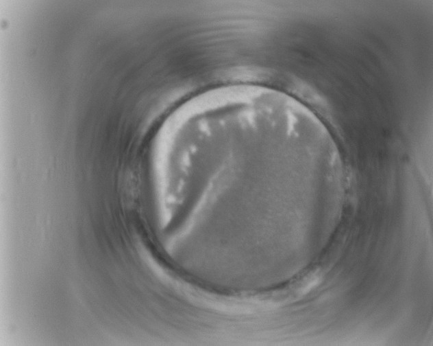 X0000061140012200512091945