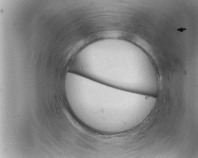 X0000061140013200512091945