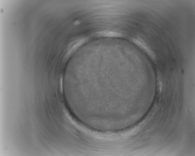 X0000061140014200512091945