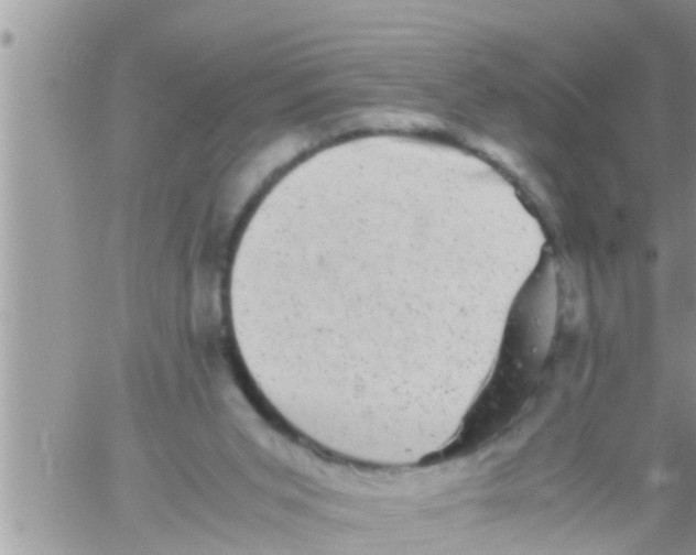 X0000061140015200512091945