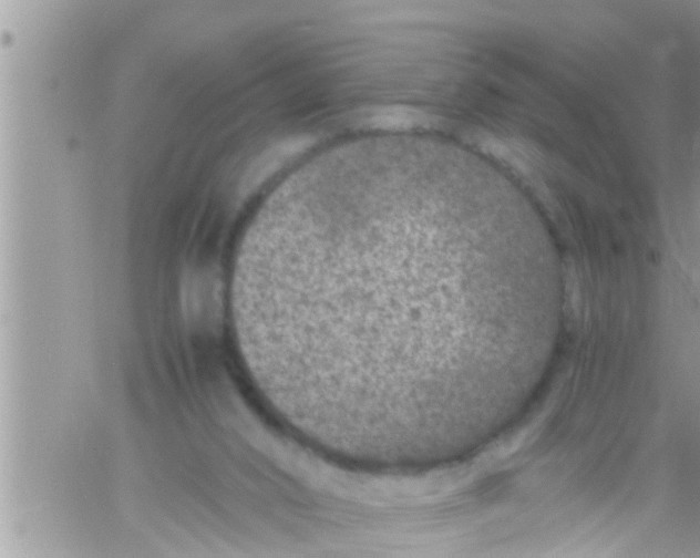 X0000061140016200512091945