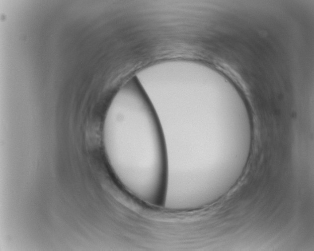 X0000061140017200512091945