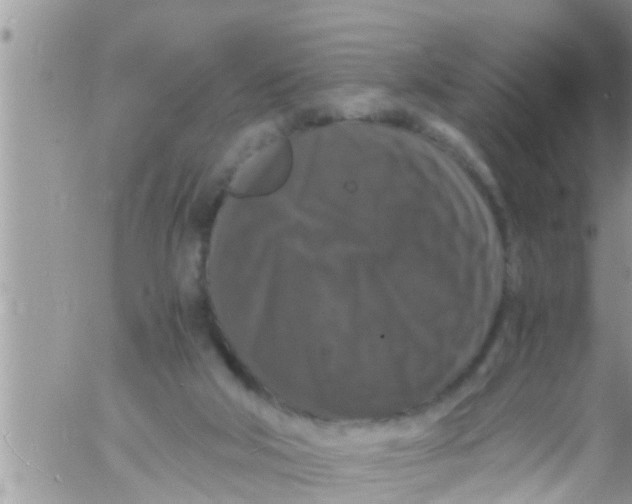 X0000061140018200512091945