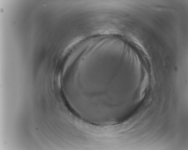 X0000061140019200512091945