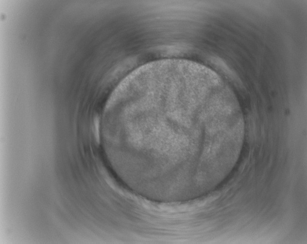 X0000061140022200512091945