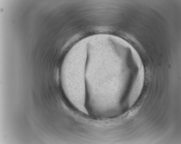 X0000061140024200512091945