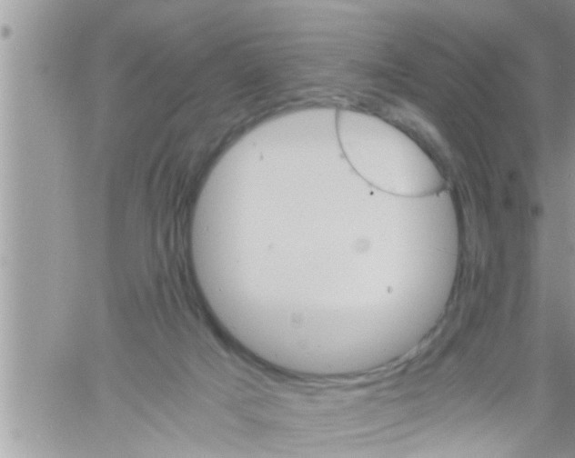 X0000061140025200512091945