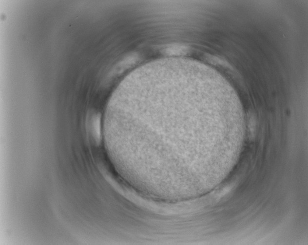 X0000061140028200512091945