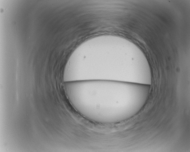 X0000061140029200512091945