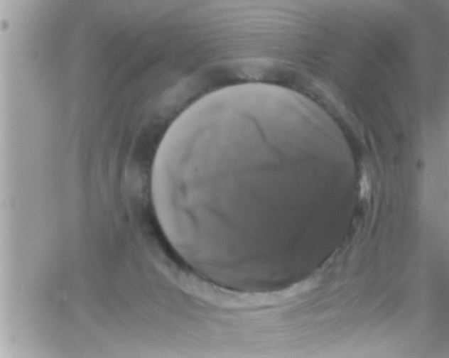 X0000061140031200512091945